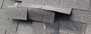 Damaged Asphalt Shingles AlterPhaseRoofing Alter Phase Roofing Inc.