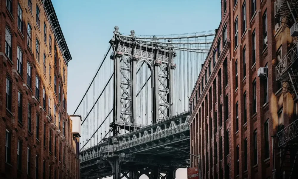 Brooklyn picture of buildings and roofs